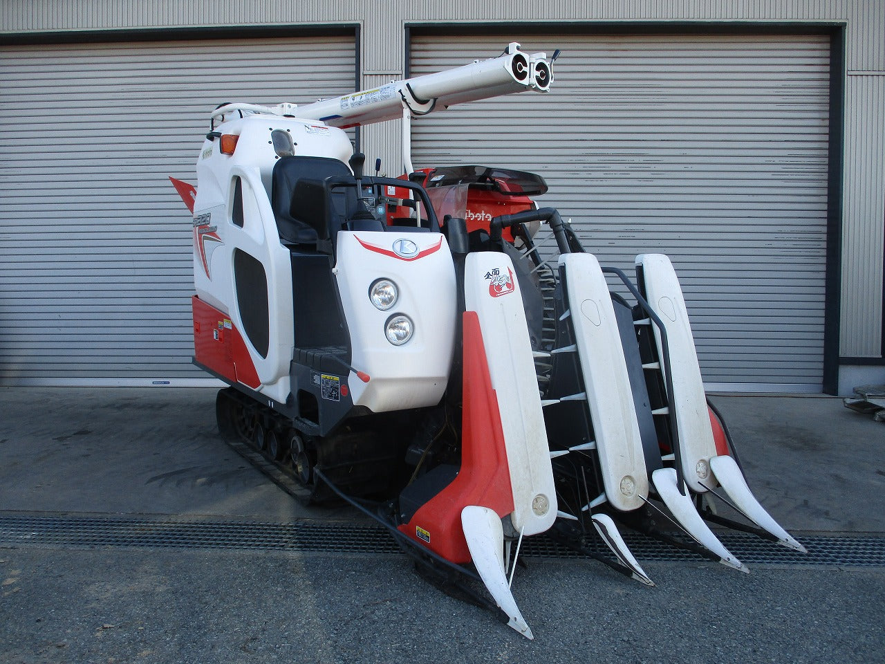 IMG_5426.jpg?v=1729928090