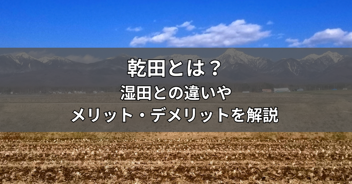 乾田とは？湿田との違いや直播栽培のメリット・デメリットを解説