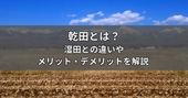 乾田とは？湿田との違いや直播栽培のメリット・デメリットを解説