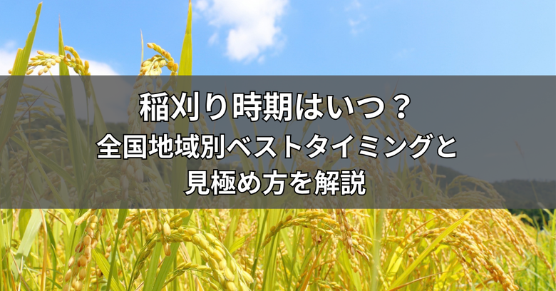 稲刈り時期はいつ？全国地域別ベストタイミングと見極め方を解説